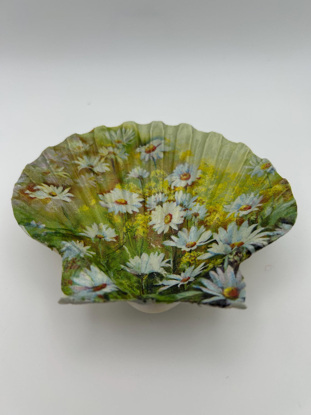 Decoupaged Daisy Scallop Shell Ring Dish – Pearl Feet Trinket Holder